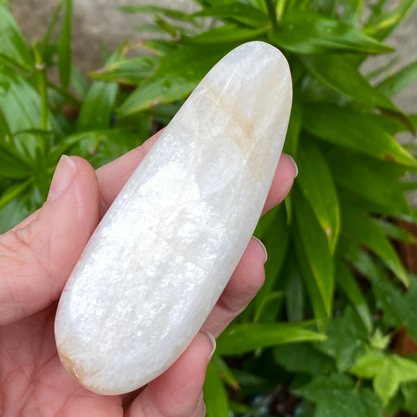 Natrolite Palm Stone