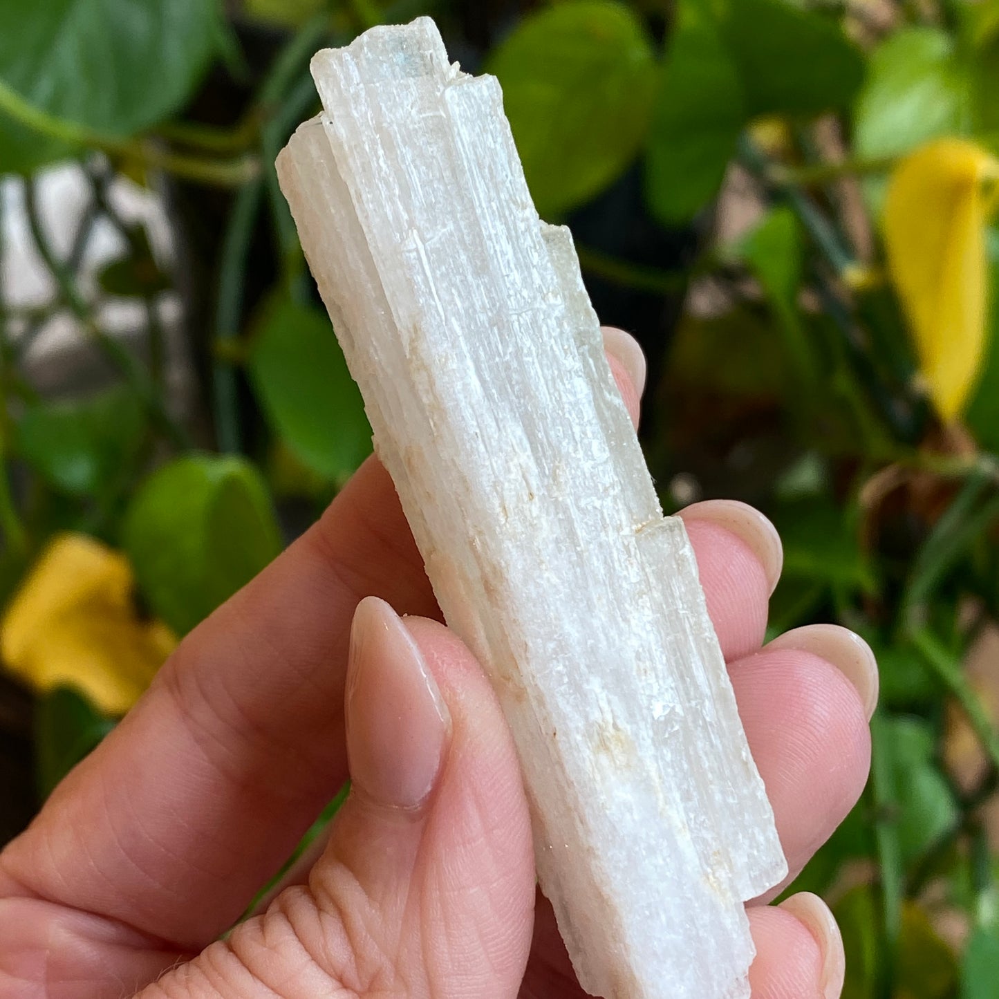 Rare Natrolite Crystal Specimen, Chimney Rock, New Jersey, 1973