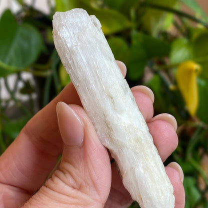 Rare Natrolite Crystal Specimen, Chimney Rock, New Jersey, 1973