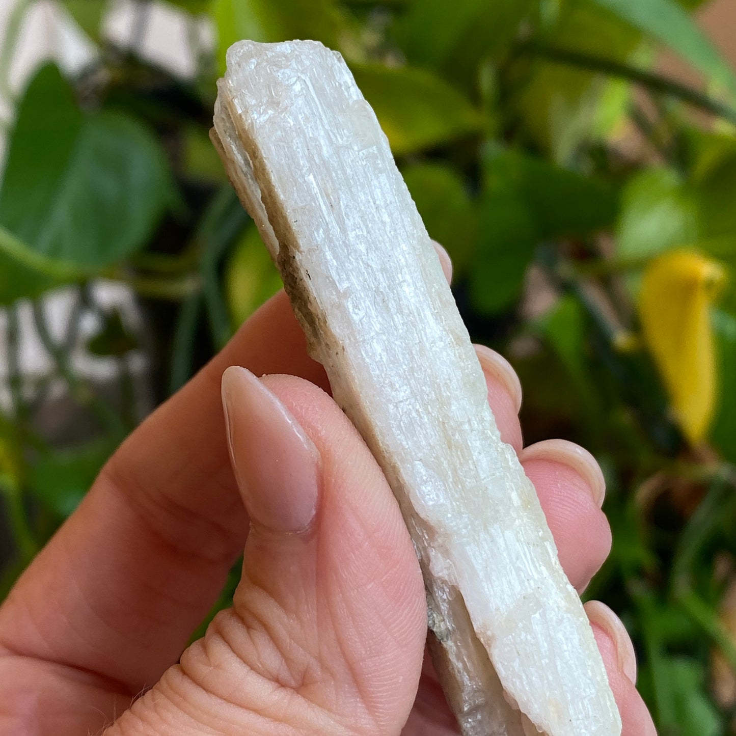 Rare Natrolite Crystal Specimen, Chimney Rock, New Jersey, 1973