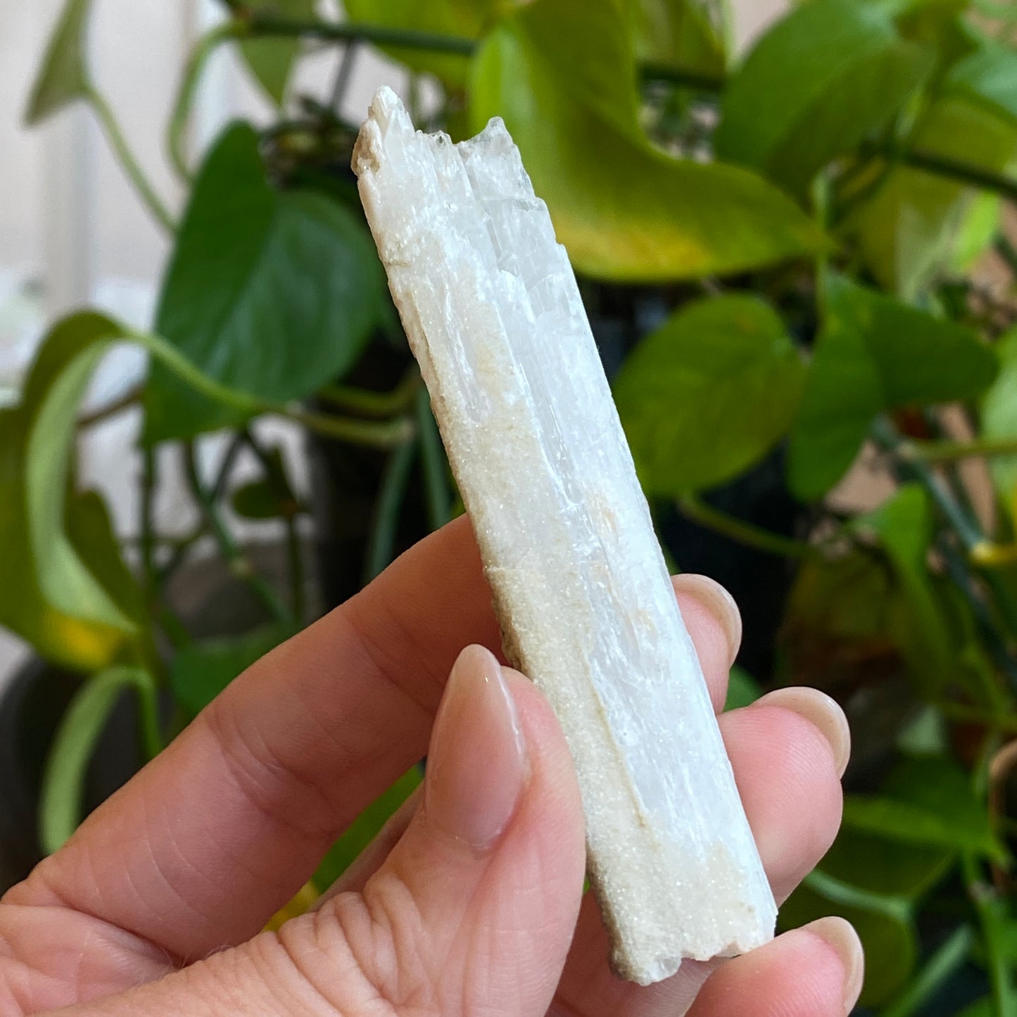 Rare Natrolite Crystal Specimen, Chimney Rock, New Jersey, 1973