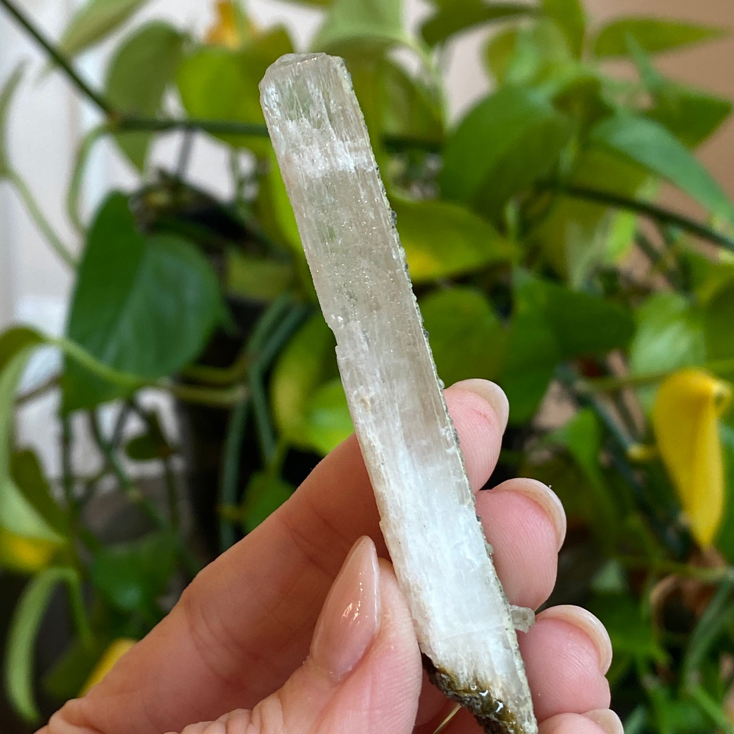 Rare Natrolite Crystal Specimen, Chimney Rock, New Jersey, 1973