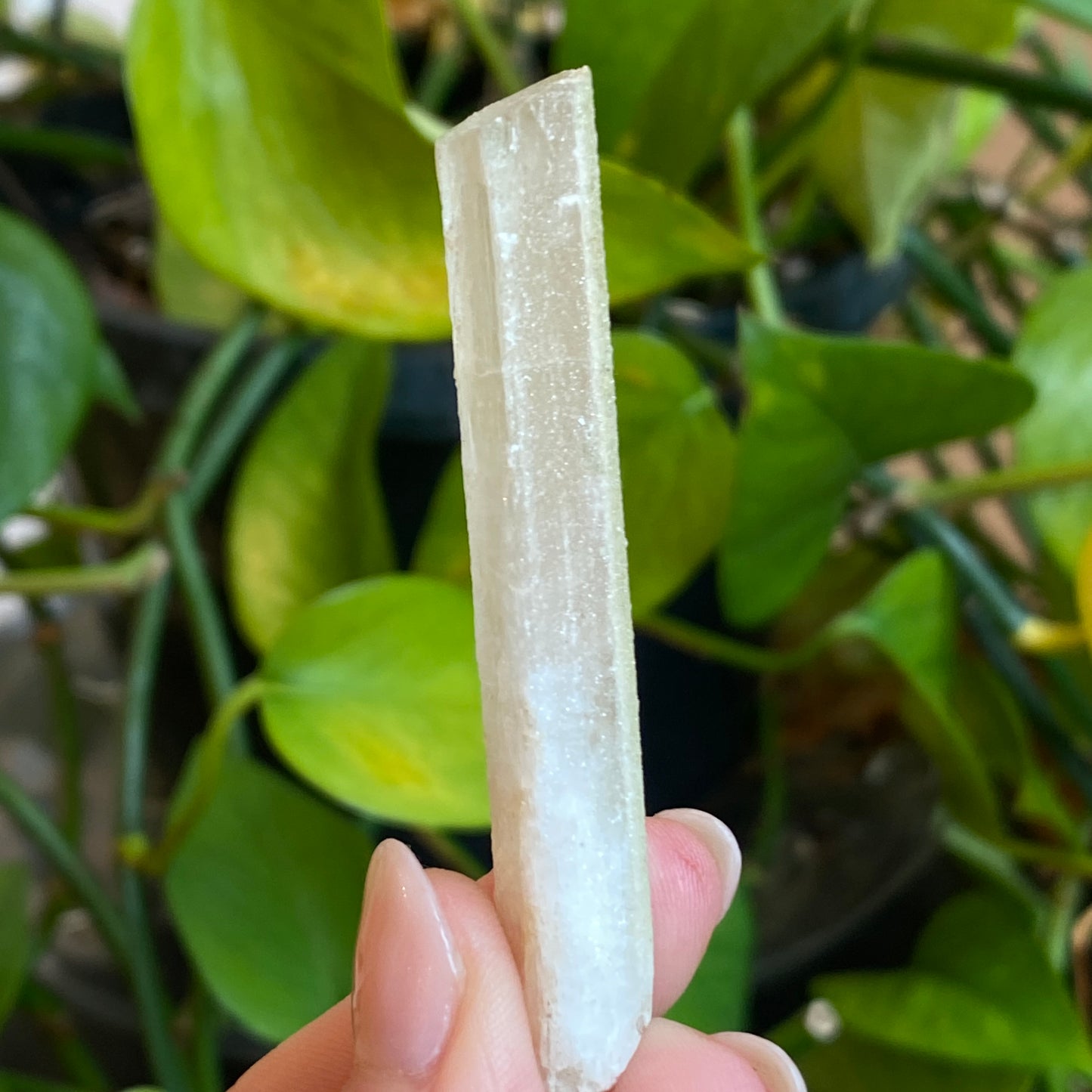 Rare Natrolite Crystal Specimen, Chimney Rock, New Jersey, 1973