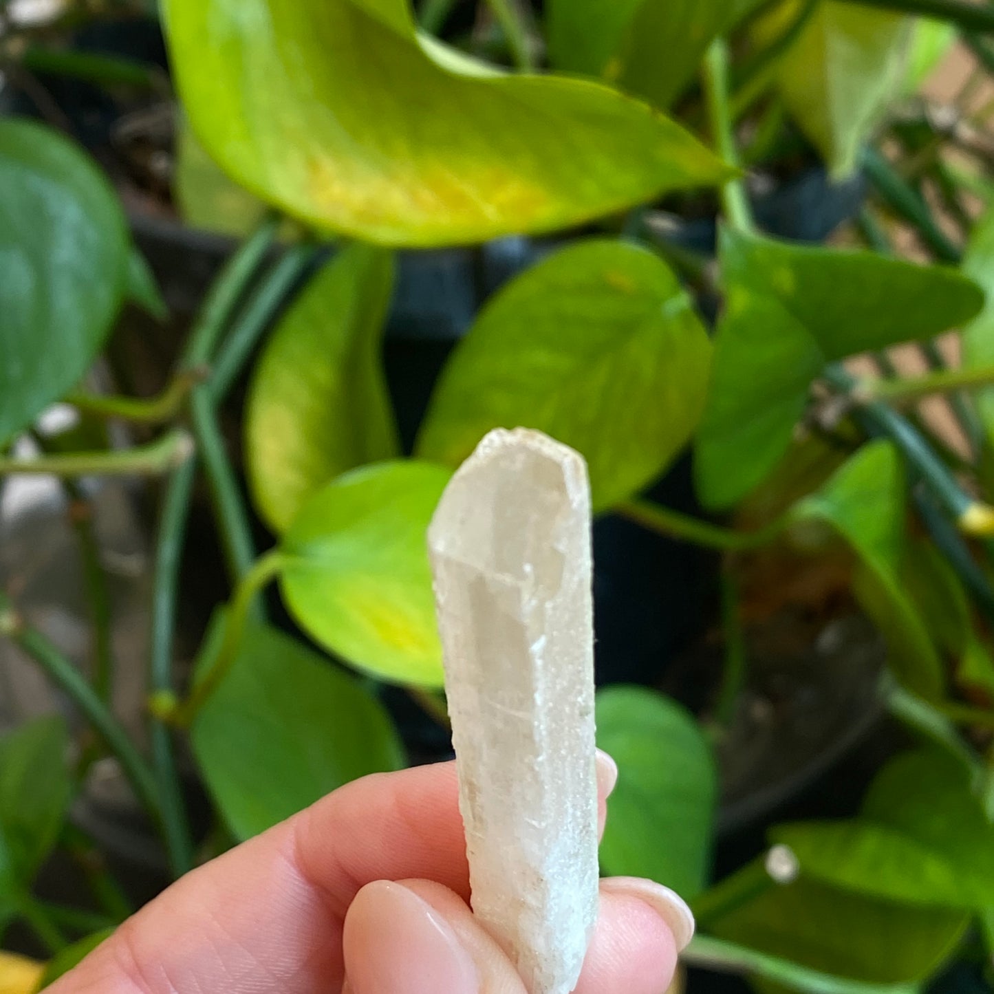 Rare Natrolite Crystal Specimen, Chimney Rock, New Jersey, 1973