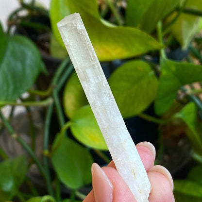 Rare Natrolite Crystal Specimen, Chimney Rock, New Jersey, 1973