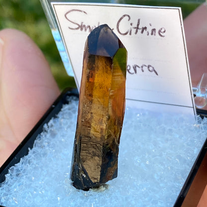 Natural Citrine Point, Nigeria