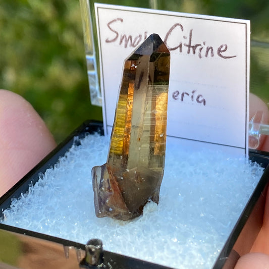 Natural Citrine Point, Nigeria