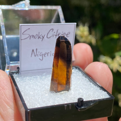 Natural Citrine Point, Nigeria