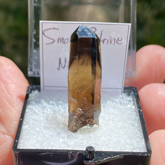 Natural Citrine Point, Nigeria