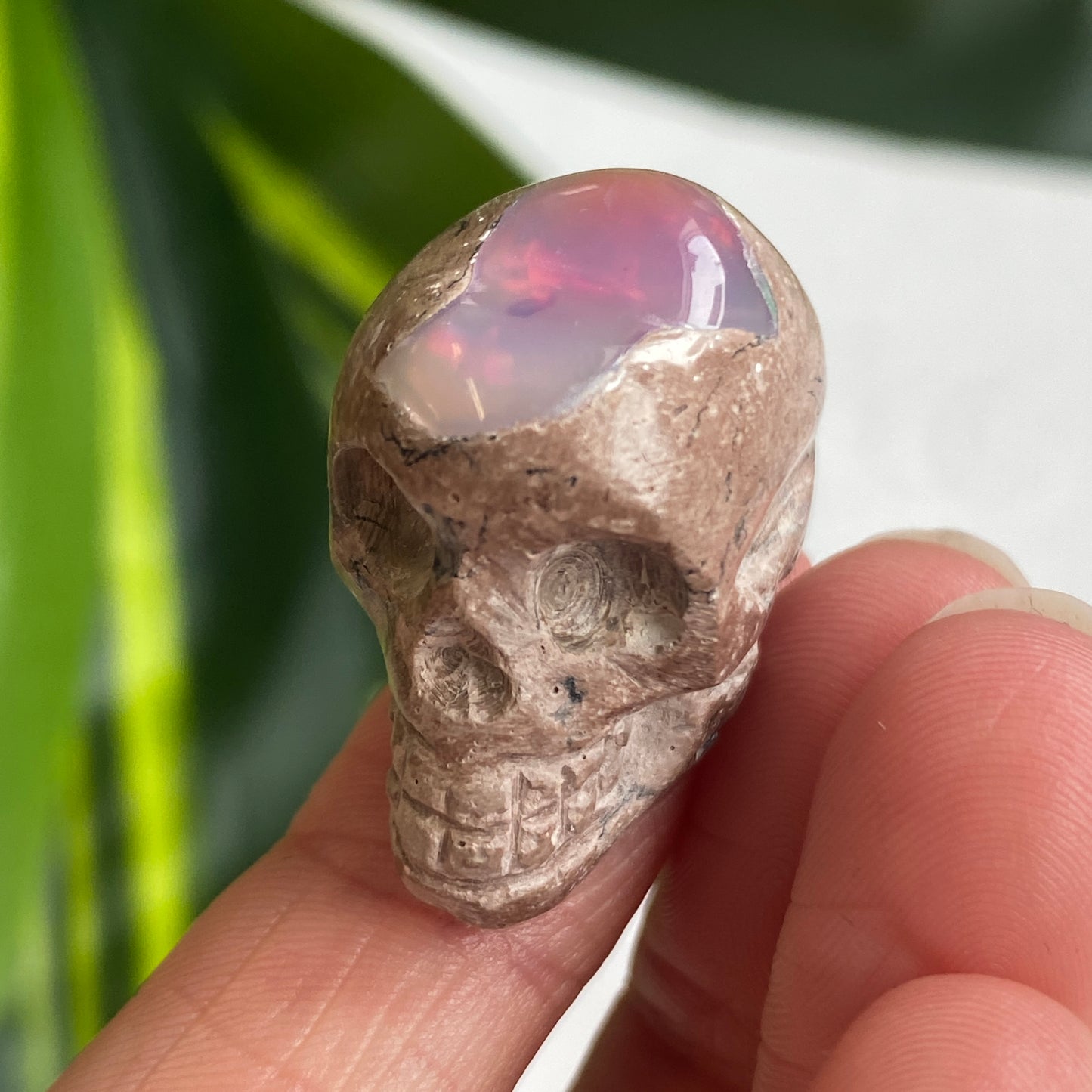 Ethiopian Opal Skull