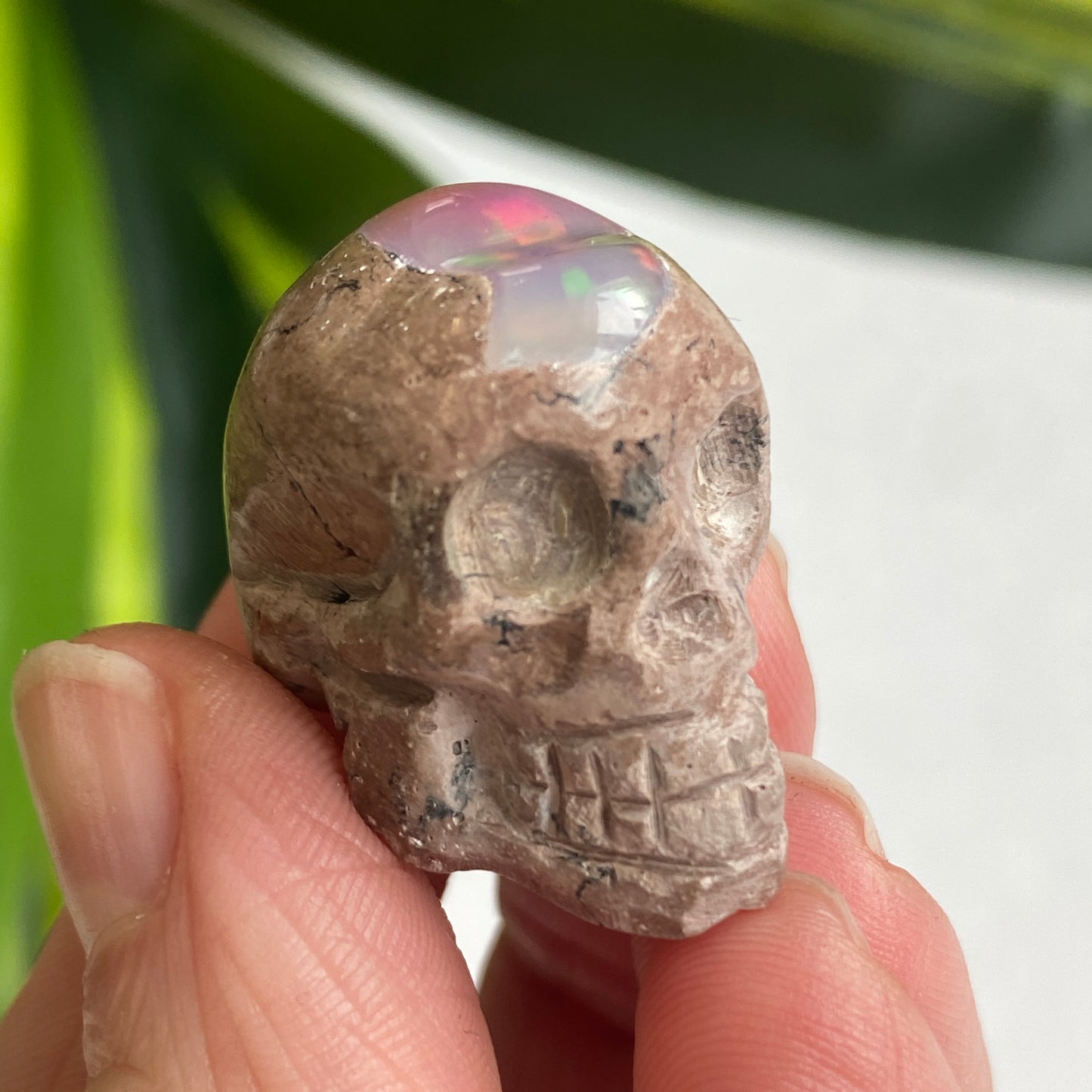 Ethiopian Opal Skull