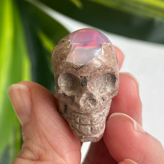 Ethiopian Opal Skull