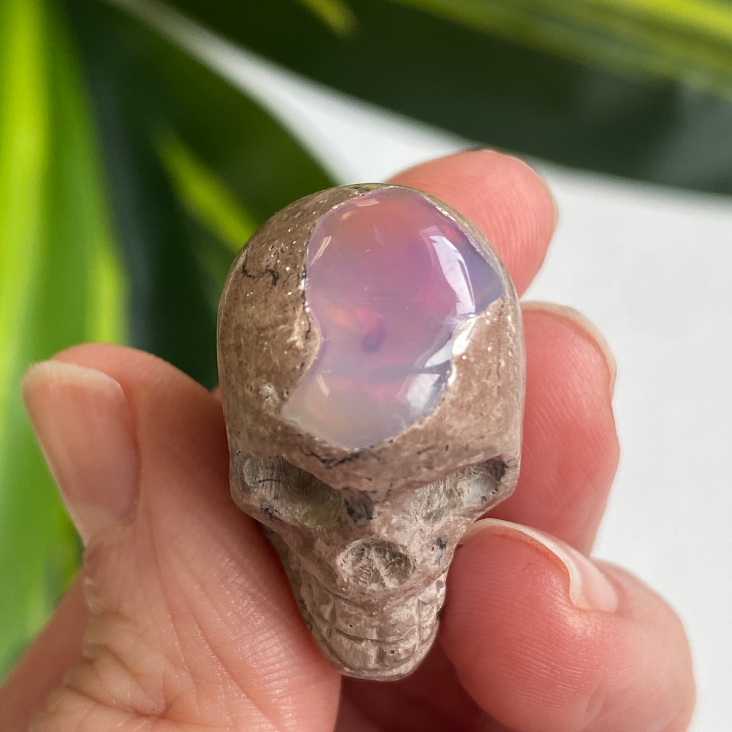 Ethiopian Opal Skull