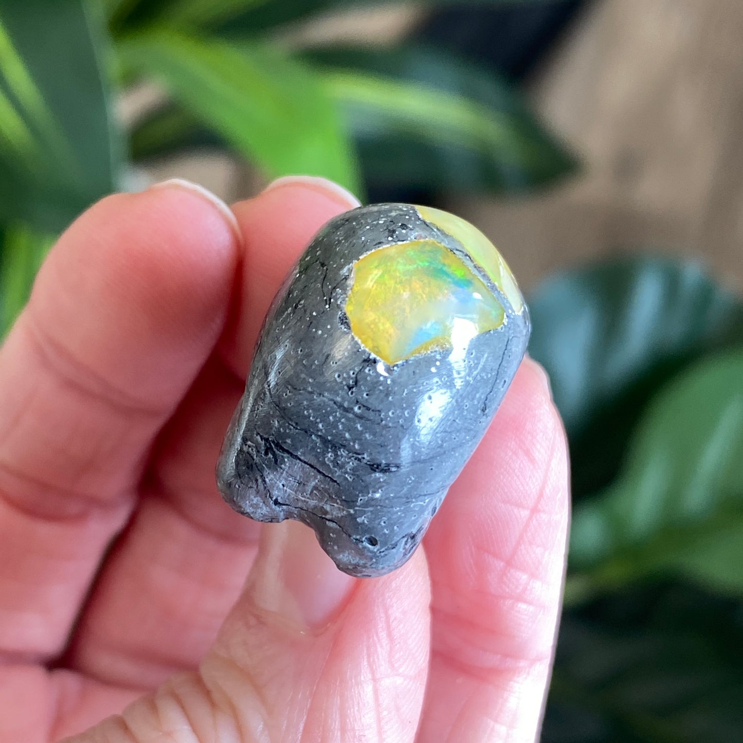 Ethiopian Opal Skull