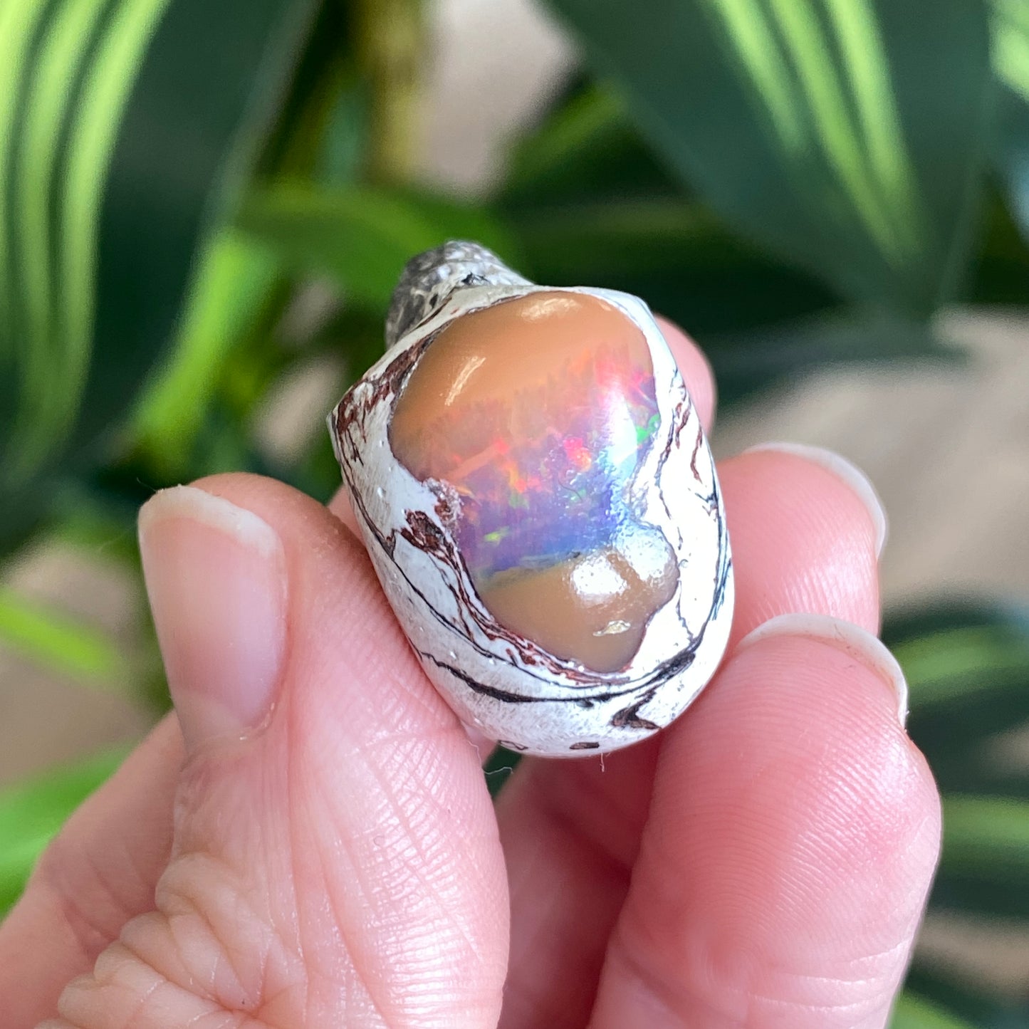 Ethiopian Opal Skull