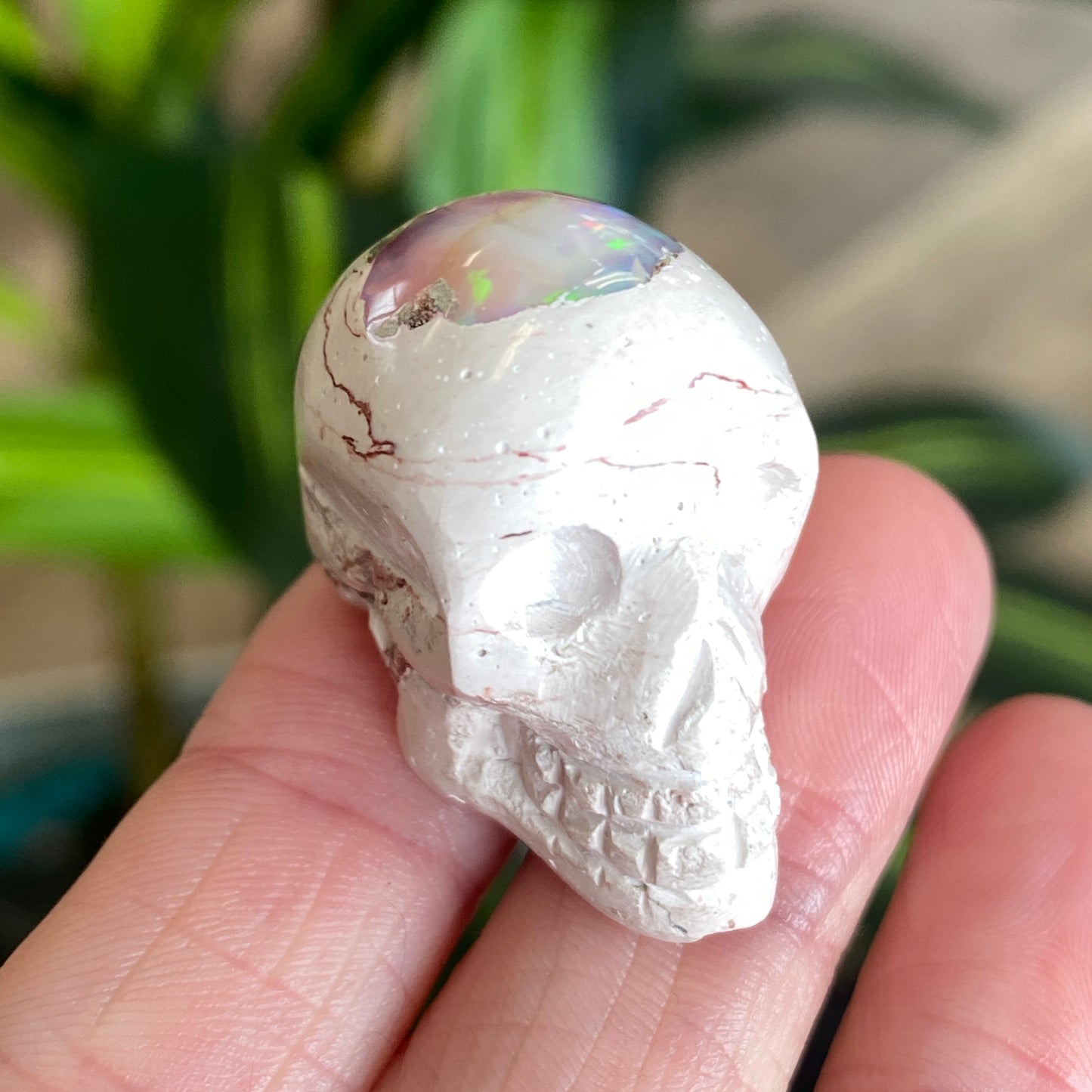Ethiopian Opal Skull