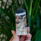 Ocean Jasper Tower
