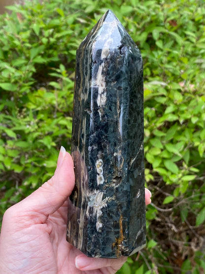 Ocean Jasper Tower