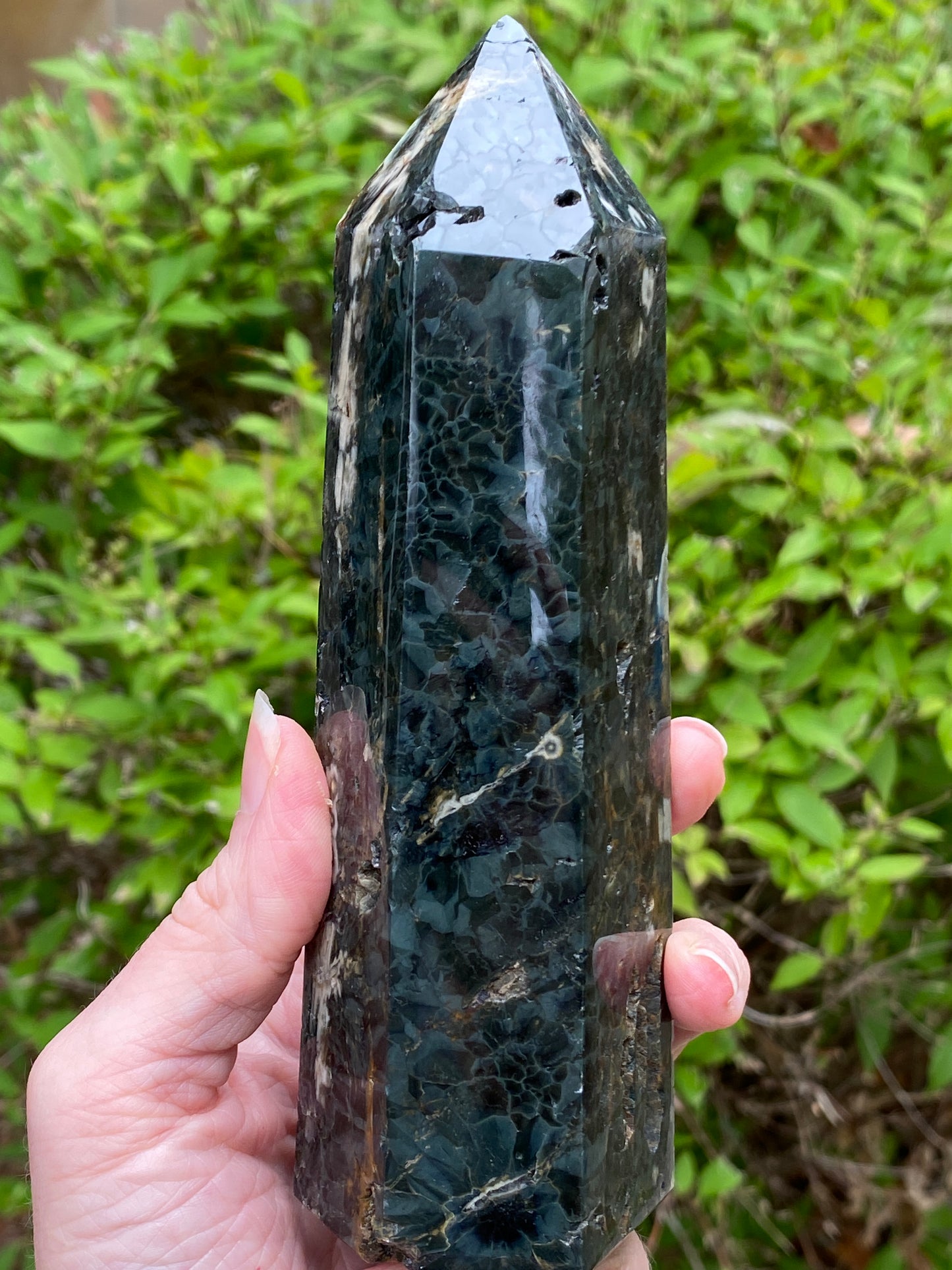 Ocean Jasper Tower