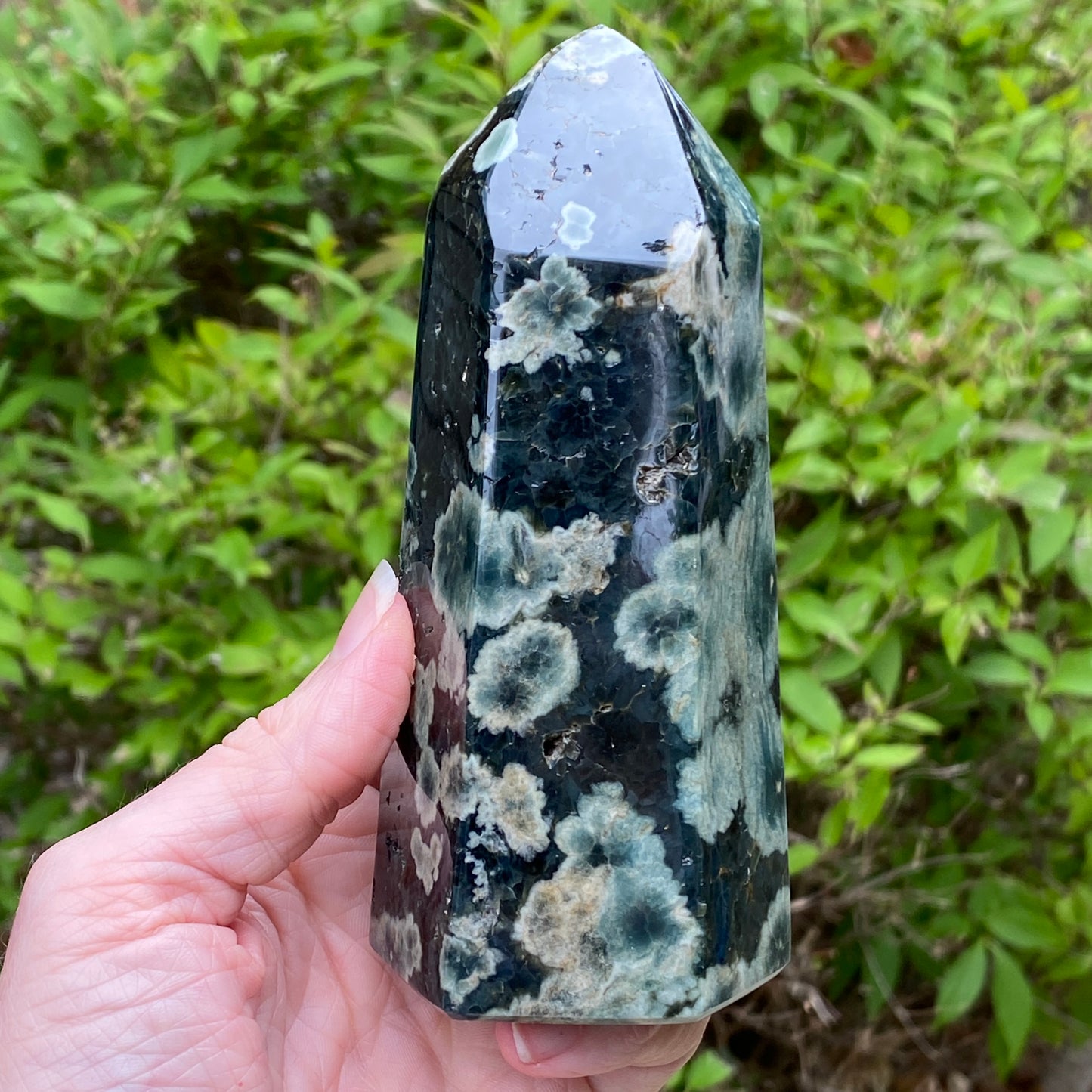 Ocean Jasper Tower