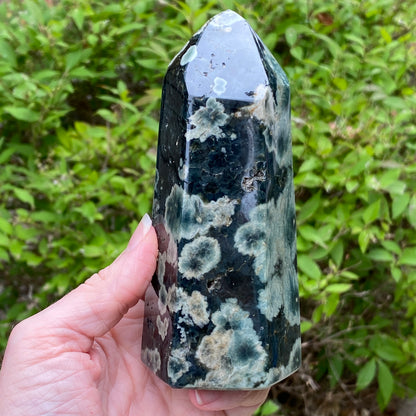 Ocean Jasper Tower