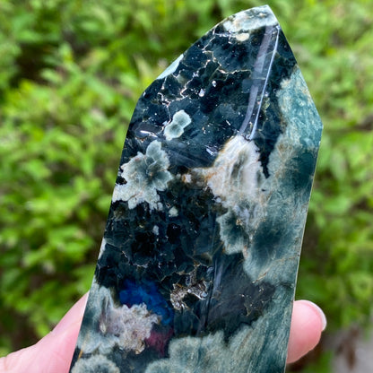Ocean Jasper Tower