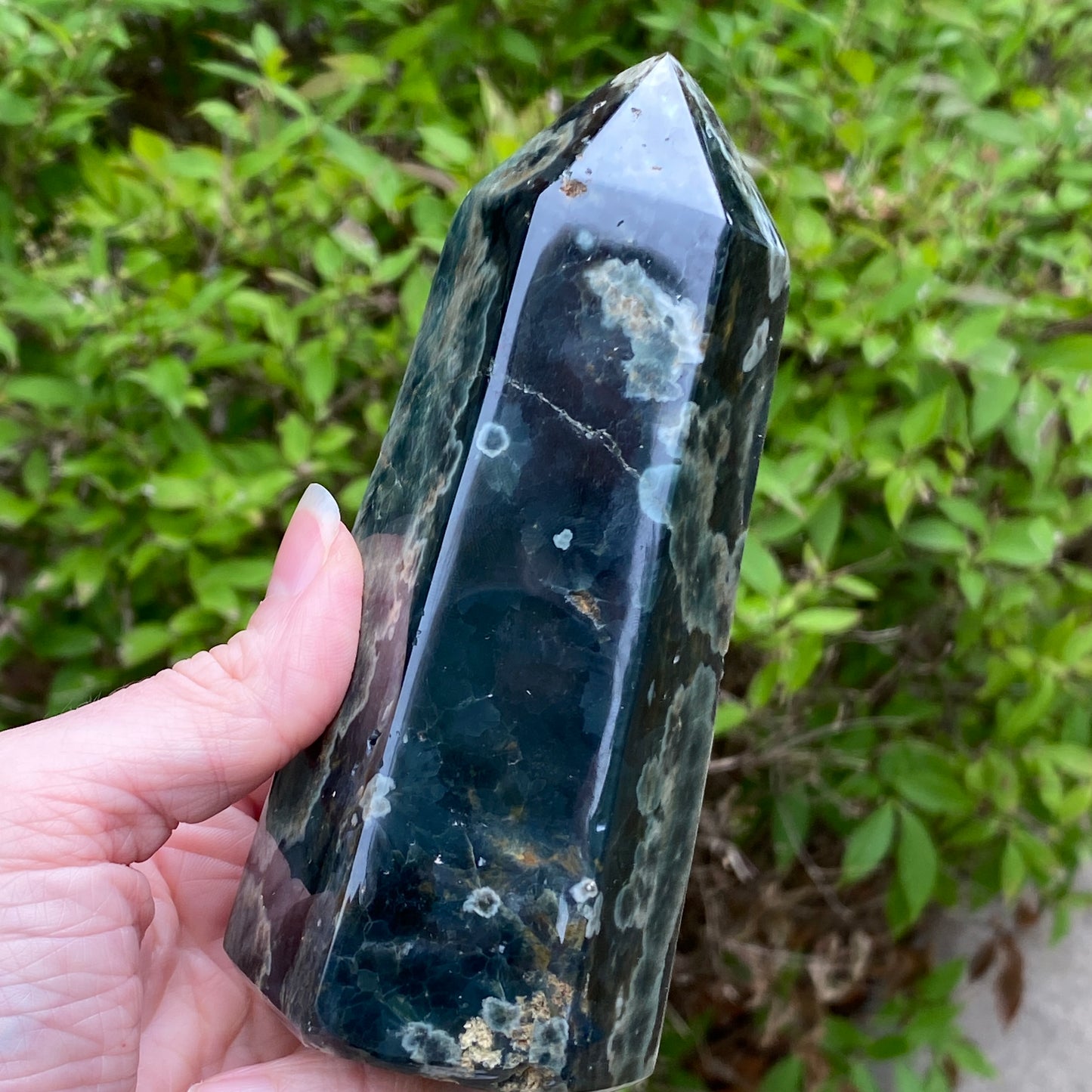 Ocean Jasper Tower