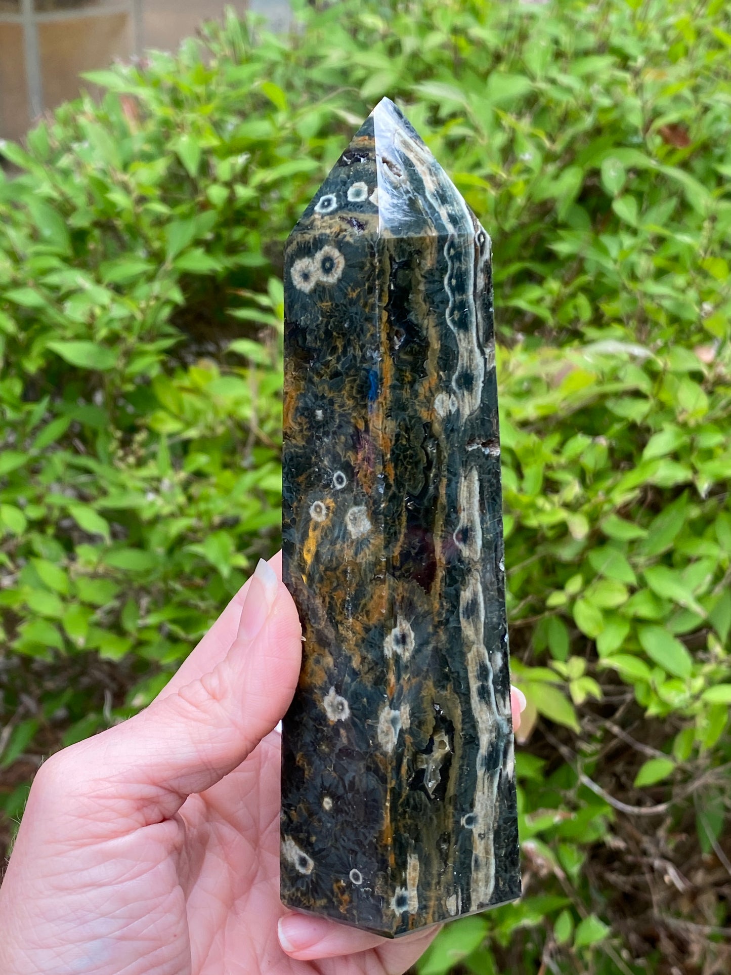 Ocean Jasper Tower