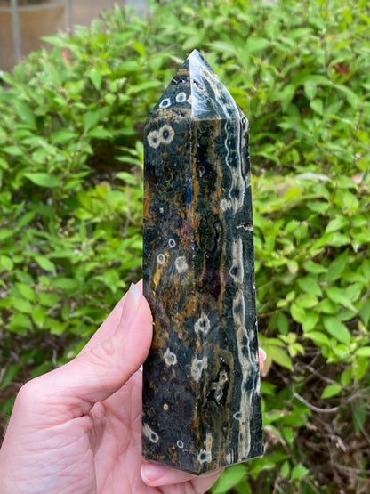Ocean Jasper Tower