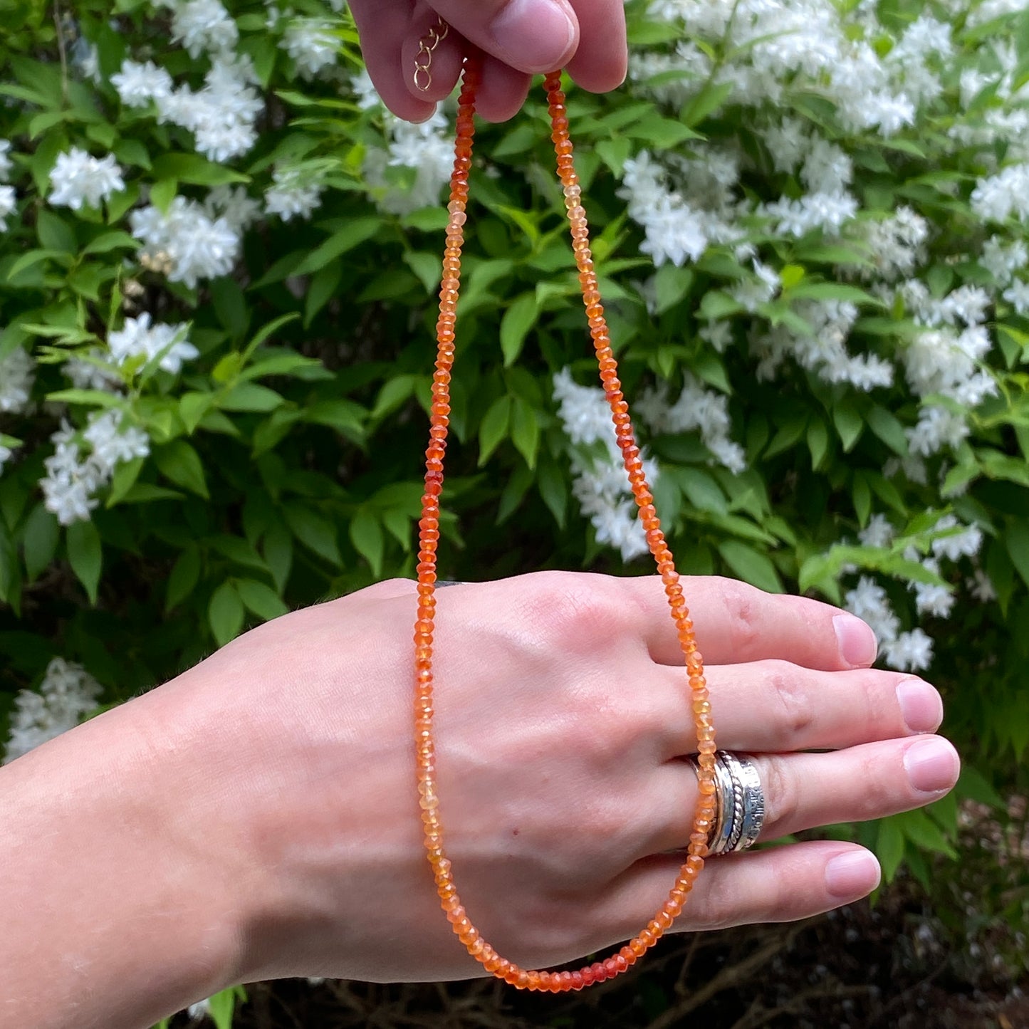 Ombre Carnelian Necklace