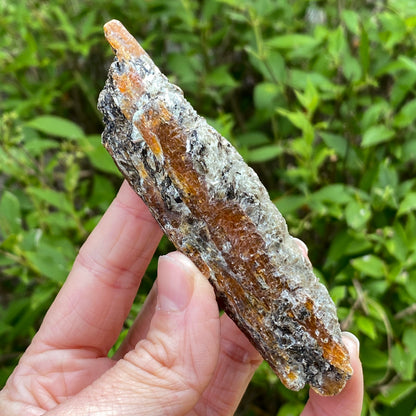 Orange Kyanite with Mica, Tanzania