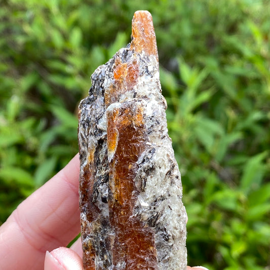 Orange Kyanite with Mica, Tanzania