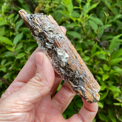Orange Kyanite with Mica, Tanzania