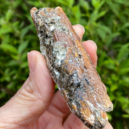 Orange Kyanite with Mica, Tanzania
