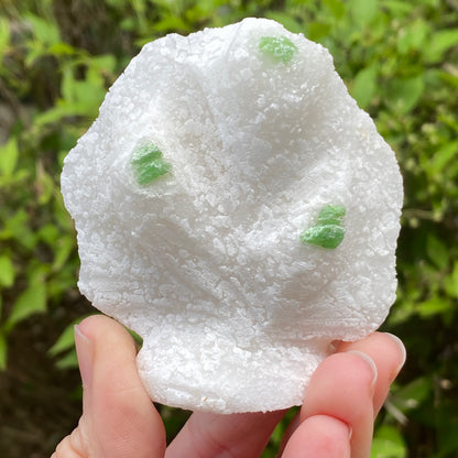 Pargasite In Marble, Vietnam