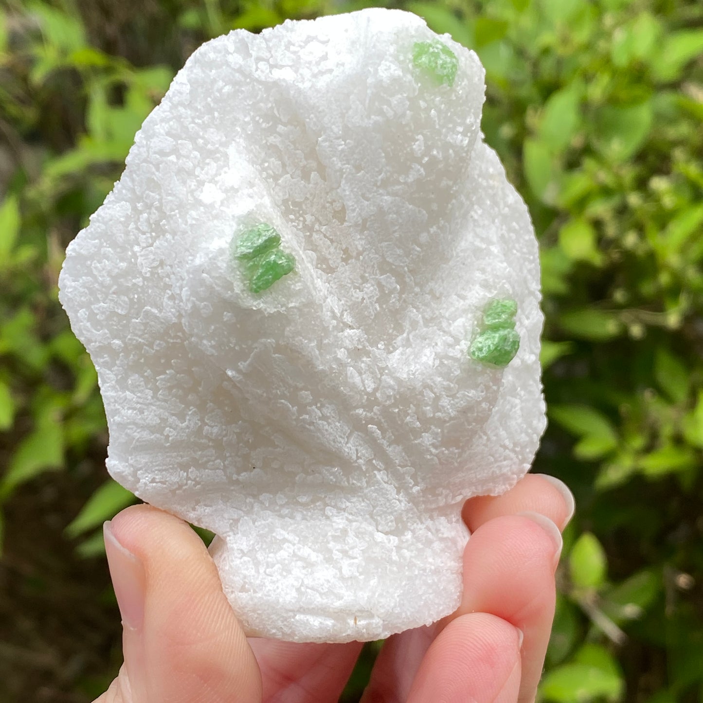 Pargasite In Marble, Vietnam
