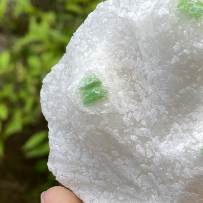 Pargasite In Marble, Vietnam