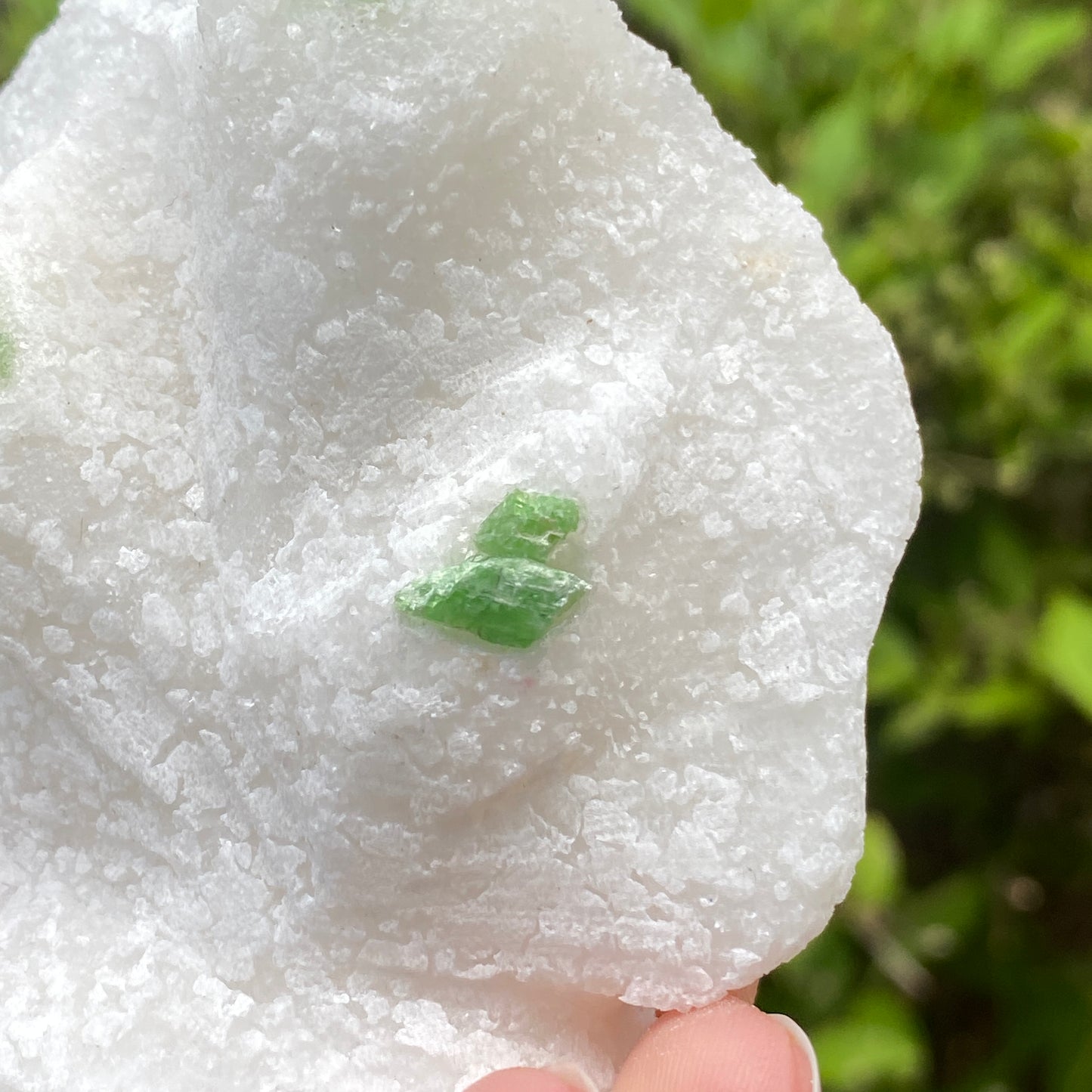 Pargasite In Marble, Vietnam