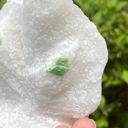 Pargasite In Marble, Vietnam