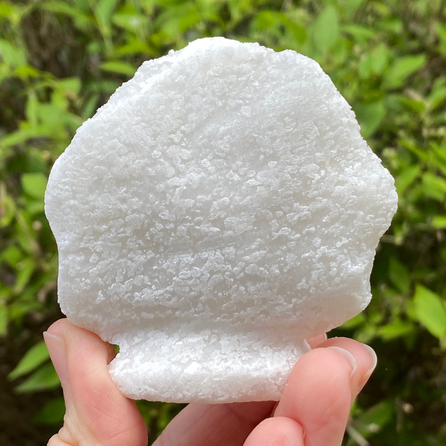 Pargasite In Marble, Vietnam