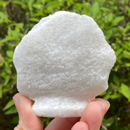 Pargasite In Marble, Vietnam