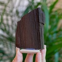 Fossilized Wood with Quartz from Germany