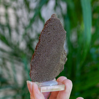 Fossilized Wood with Quartz from Germany