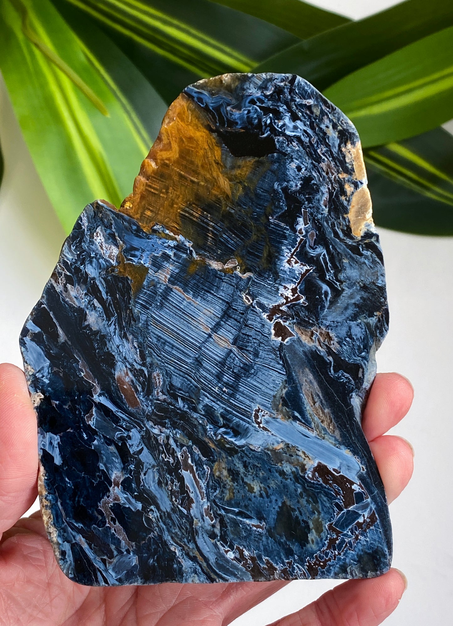 Pietersite Slab