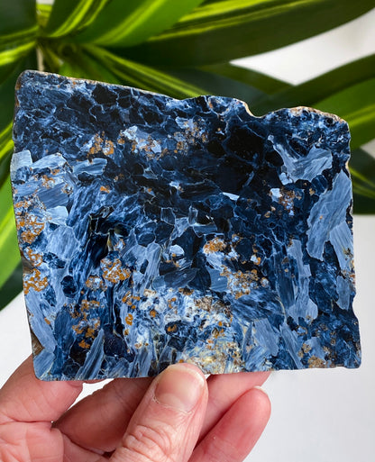 Pietersite Slab