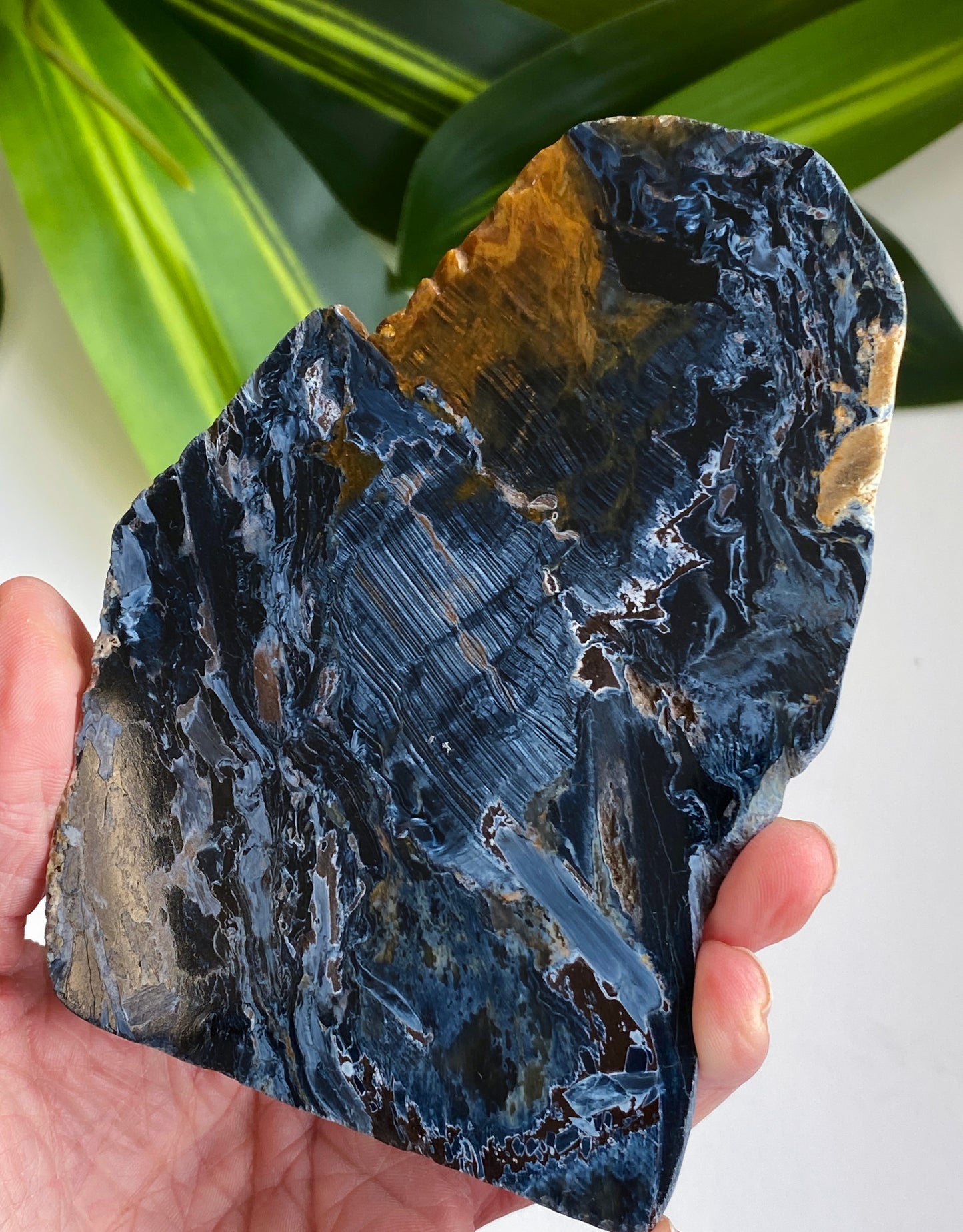 Pietersite Slab