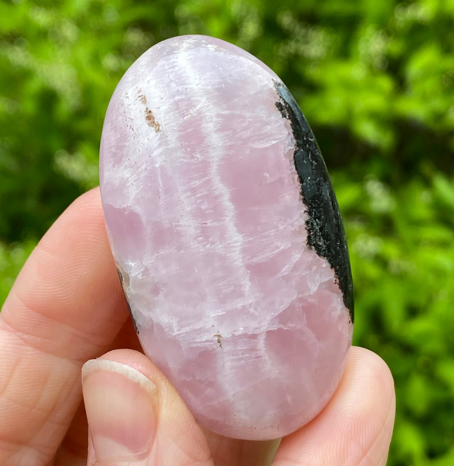 Pink Aragonite Palm Stone
