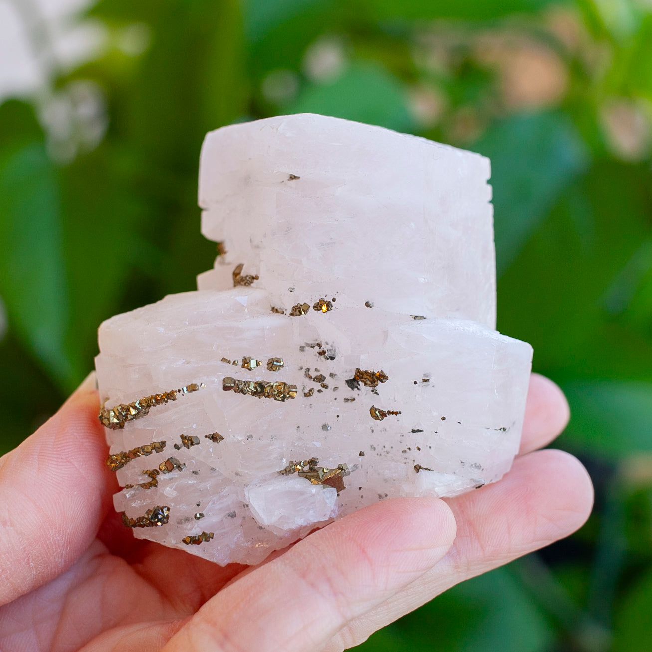 Pink Poker Chip Calcite with Pyrite, New Deposit, Hunan