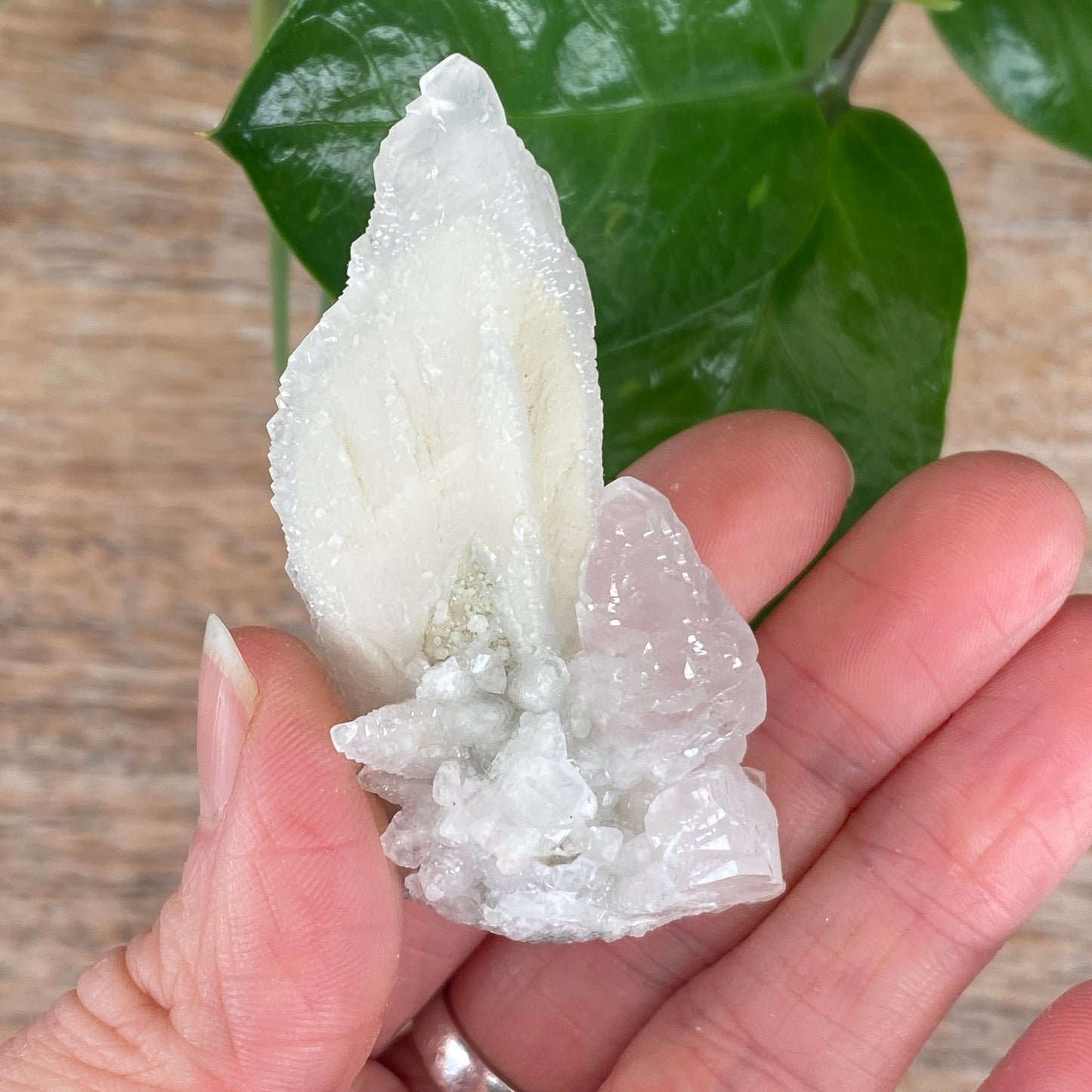 Pink Feather Calcite, New Deposit