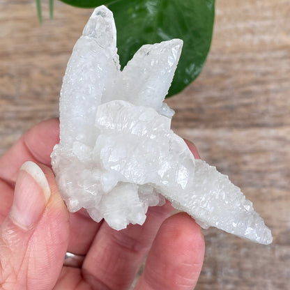 Pink Feather Calcite, New Deposit